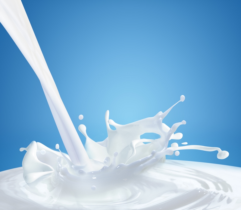 Milk Industry